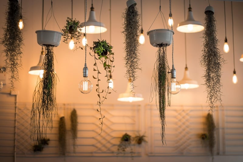 Hanging plant pots